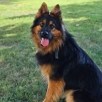 CH. Utha Titre Initial